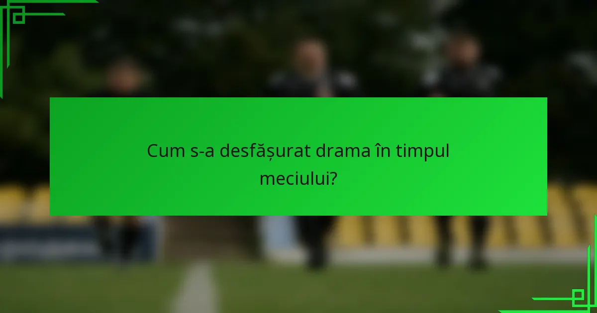 Cum s-a desfășurat drama în timpul meciului?